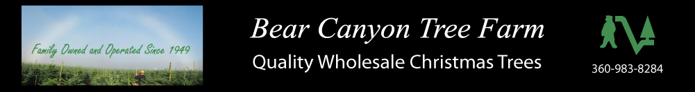 Bear Canyon Tree Farm - Banner