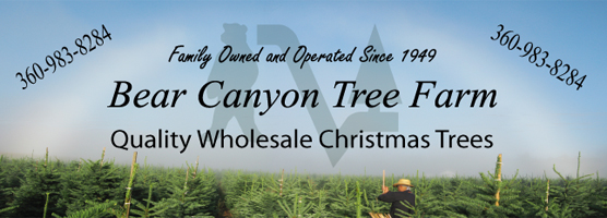 Bear Canyon Tree Farm Banner